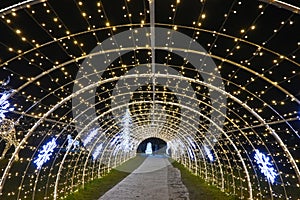 Christmas light decoration tunnel