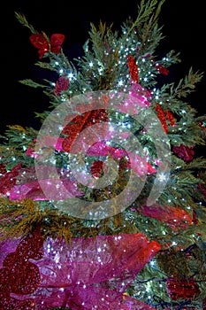 Luces decorativas navideÃÂ±as en abeto, adornando y creando ambiente festivo photo