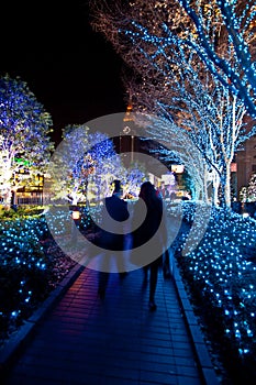 Christmas lighting landscaping