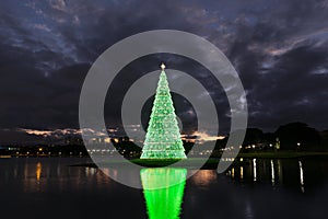 Christmas lights and Christmas trees. photo