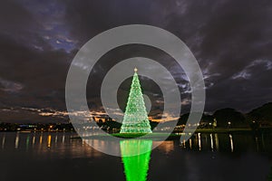Christmas lights and Christmas trees. photo