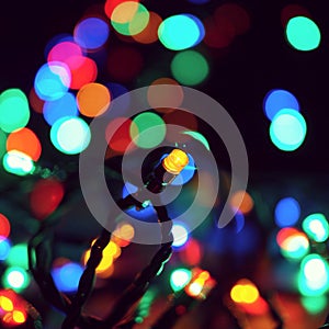 Christmas lights