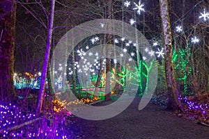 Christmas Lights Decoration along Lafarge Lake Path