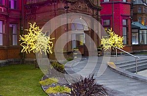 Christmas lights at the entrance to the luxurious Slieve Donard Hotel