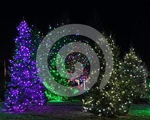 Christmas lights festival and celebration in Hudson Gardens