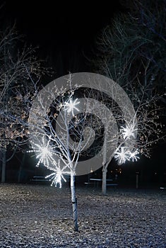 Christmas lights festival and celebration in Hudson Gardens