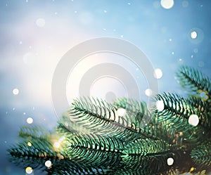 Christmas lights and pine branches and snow. Winter. Christmas. Blue festive winter background