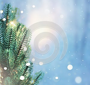 Christmas lights and pine branches and snow. Winter. Christmas. Blue festive winter background