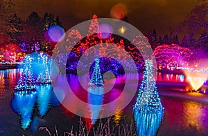 Christmas Lights Reflection Van Dusen Garden Vancouver British Columbia Canada photo