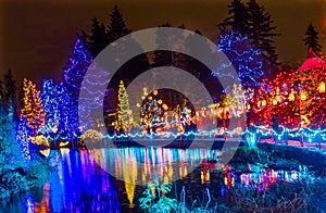 Christmas Lights Reflection Van Dusen Garden Vancouver British Columbia Canada photo