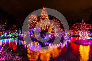 Christmas Lights Reflection Van Dusen Garden Vancouver British Columbia Canada photo