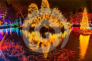 Christmas Lights Reflection Van Dusen Garden Vancouver British Columbia Canada photo