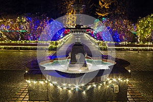 Christmas Lights in Shore Acres State Park, Oregon