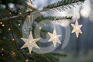 Christmas lights stars string hanging on fir branches photo