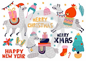 Christmas llama set. Winter llamas in scarf and hat with gifts and presents in different poses, merry xmas and happy new year