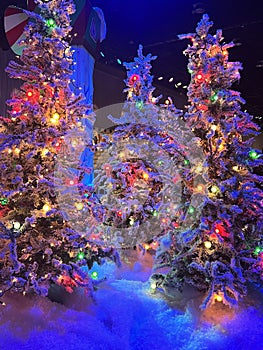 Christmas market at Gaylord Palms Resort & Convention Center in Kissimmee, Florida