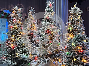 Christmas market at Gaylord Palms Resort & Convention Center in Kissimmee, Florida