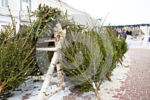 Christmas market with live Christmas trees on the street of the city. New Year`s mood, snow, cut firs and conifers are sold, the