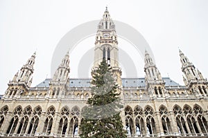 Christmas Market at Rathaus, Vienna at Christmas