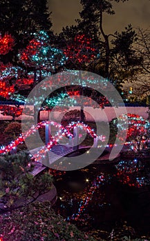 Panoramic picture of Christmas lights all around the bridge, trees, signs, posts houses and lights at night