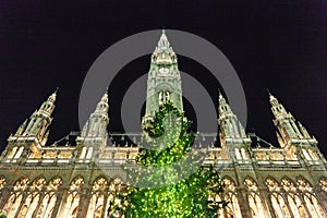 Christmas market in Vienna