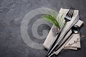 Christmas menu concept . Flat lay with Xmas decorations and pine cones, dark fork and knife set with napkin.
