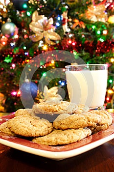 Christmas Milk and Cookies