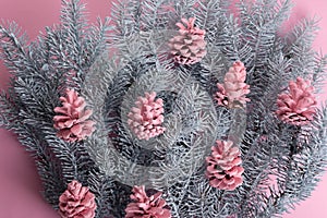 christmas minimalist composition of pink-blue paint of spruce branches and cones