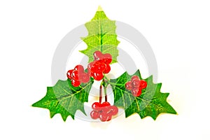 Christmas mistletoe