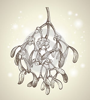 Christmas mistletoe branch drawing