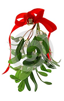 Christmas Mistletoe Isolated