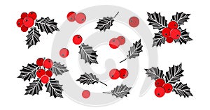 Christmas mistletoe vector icon, holly berry and leaf, red and black ilex branch, xmas plant set. Cartoon holiday illustration