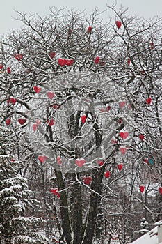 Christmas mood from denmark