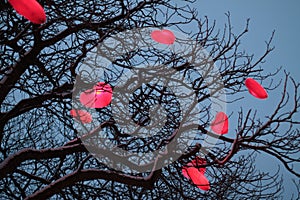 Christmas mood from denmark