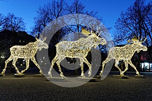 Christmas moose floc made of led light