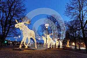 Christmas moose floc made of led light