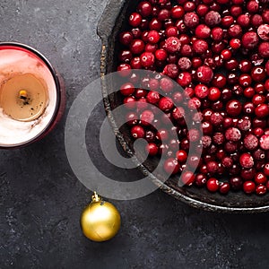 Christmas mulled wine ingredients. Lingonberry, cranberry, red berries, anise, cinnamon, orange on a dark background