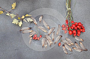 Christmas natrual decorations