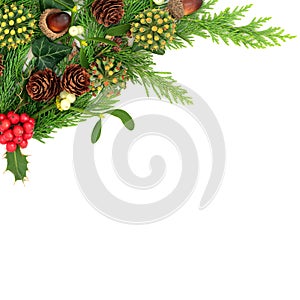 Christmas Nature Border Festive Background