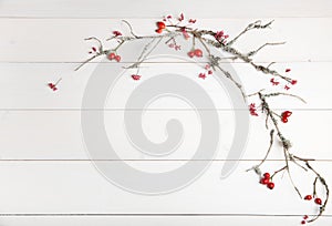 Christmas, New Year or Autumn background, flat lay composition of Christmas natural ornaments and fir branches, berries