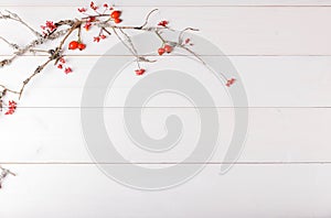 Christmas, New Year or Autumn background, flat lay composition of Christmas natural ornaments and fir branches, berries