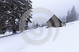 Christmas and New Year background with winter trees and cottage covered with fresh snow in the mountains - Magic holiday backgroun