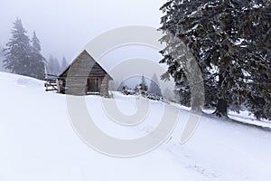 Christmas and New Year background with winter trees and cottage covered with fresh snow in the mountains - Magic holiday backgroun