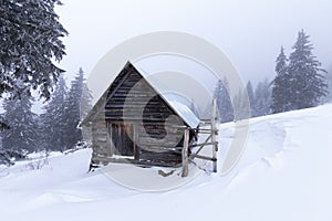 Christmas and New Year background with winter trees and cottage covered with fresh snow in the mountains - Magic holiday backgroun