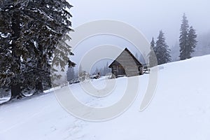 Christmas and New Year background with winter trees and cottage covered with fresh snow in the mountains - Magic holiday backgroun