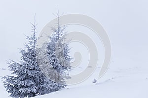 Christmas and New Year background with winter trees and cottage covered with fresh snow in the mountains - Magic holiday backgroun