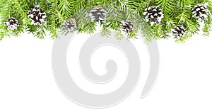Christmas and New Year Border. Sprigs of spruce decorated with pine cones isolated on a white background. Copy space