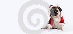 Christmas and New Year card Pug dog dressed up as Santa Claus with funny full body suit costume with red hat on white