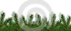Christmas, New Year. Cards, business cards, invitations. Realistic green christmas tree close-up with shadow on a white