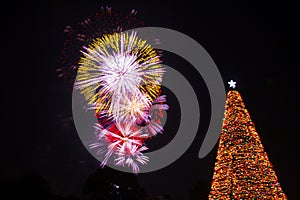 christmas new year celebration tree fireworks eve lights